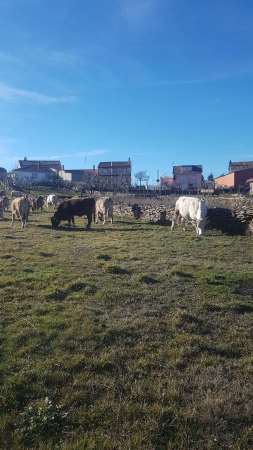 Albergue Agustina Samir de los Canos Bagian luar foto